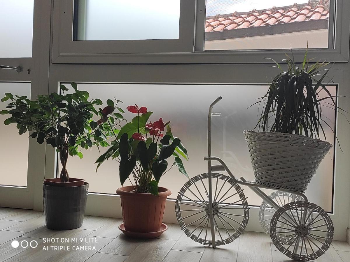 Il Labirinto Bed & Breakfast Sulmona Dış mekan fotoğraf